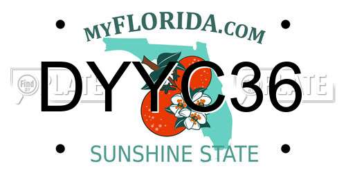 DYYC36 Florida License Plate