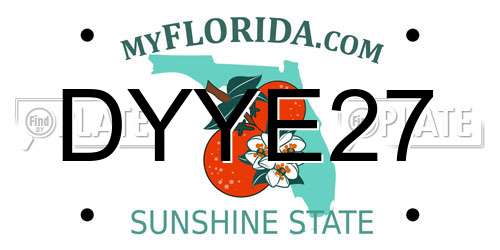DYYE27 Florida License Plate