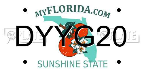 DYYG20 Florida License Plate