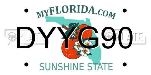 DYYG90 Florida License Plate