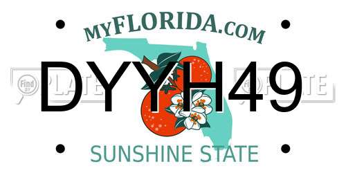 DYYH49 Florida License Plate