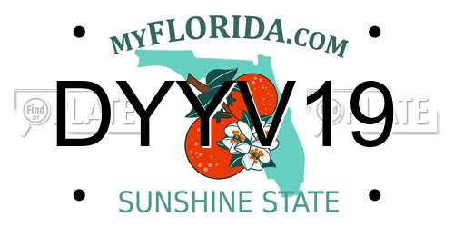 DYYV19 Florida License Plate