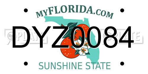 DYZ0084 Florida License Plate