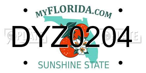 DYZ0204 Florida License Plate