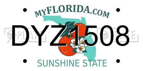 DYZ1508 Florida License Plate