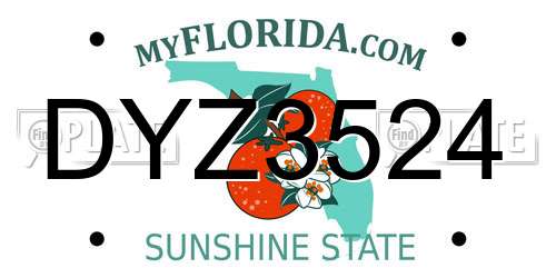 DYZ3524 Florida License Plate