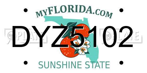 DYZ5102 Florida License Plate