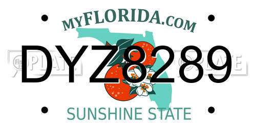 DYZ8289 Florida License Plate