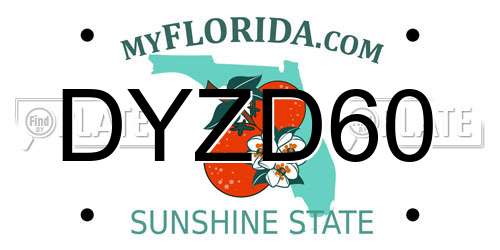 DYZD60 Florida License Plate