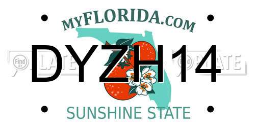 DYZH14 Florida License Plate
