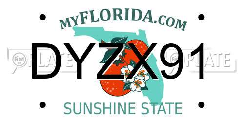 DYZX91 Florida License Plate