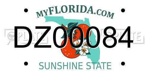 DZ00084 Florida License Plate