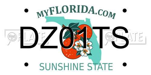 DZ01TS Florida License Plate