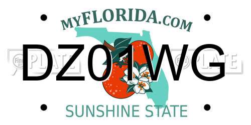 DZ01WG Florida License Plate