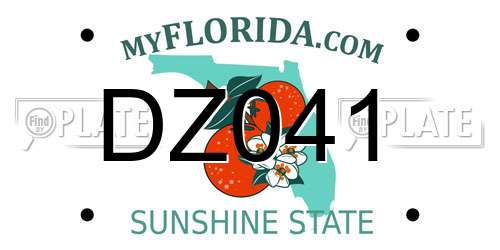 DZ041 Florida License Plate