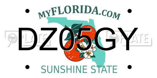 DZ05GY Florida License Plate