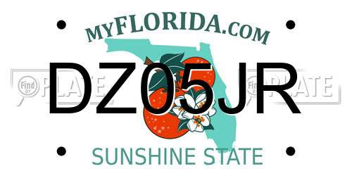 DZ05JR Florida License Plate