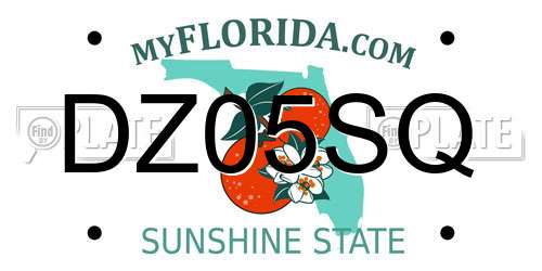 DZ05SQ Florida License Plate