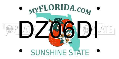 DZ06DI Florida License Plate