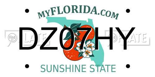 DZ07HY Florida License Plate