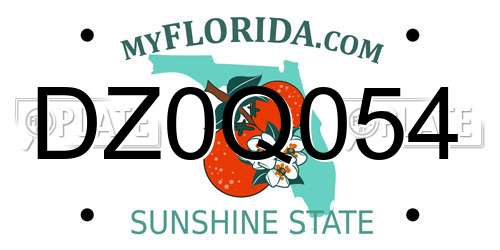 DZ0Q054 Florida License Plate