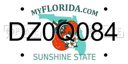 DZ0Q084 Florida License Plate