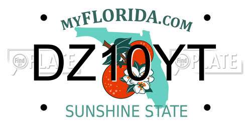 DZ10YT license plate in FL state