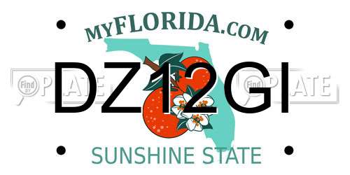 DZ12GI Florida License Plate
