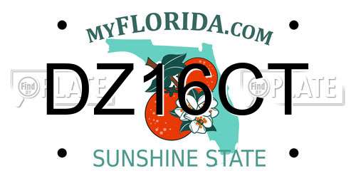 DZ16CT Florida License Plate