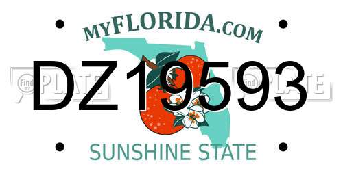 DZ19593 Florida License Plate