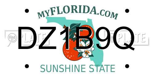 DZ1B9Q Florida License Plate