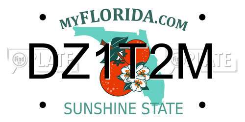DZ1T2M Florida License Plate