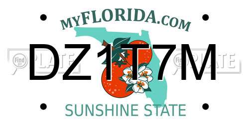 DZ1T7M Florida License Plate