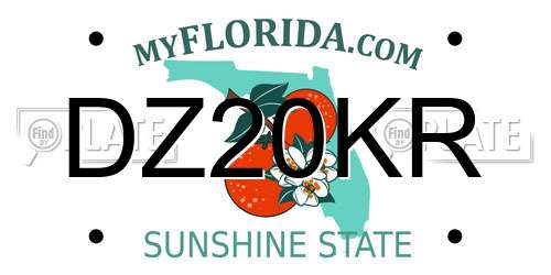 DZ20KR Florida License Plate