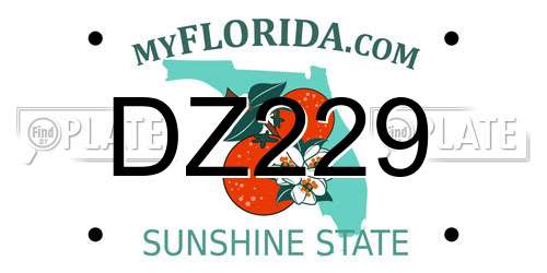 DZ229 Florida License Plate