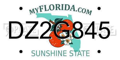 DZ2G845 Florida License Plate