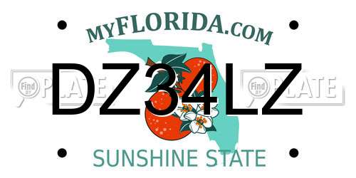 DZ34LZ Florida License Plate