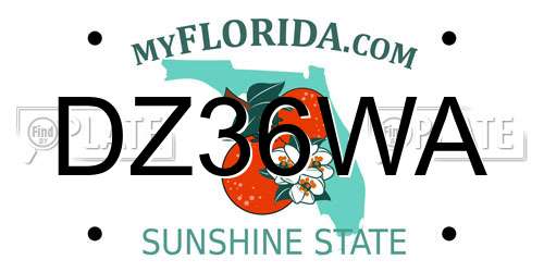 DZ36WA Florida License Plate