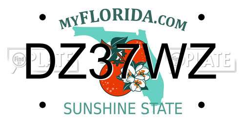 DZ37WZ Florida License Plate