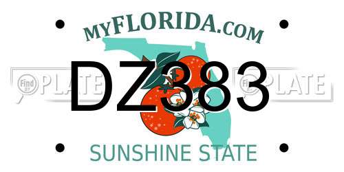 DZ383 Florida License Plate