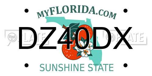 DZ40DX Florida License Plate