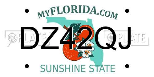 DZ42QJ Florida License Plate