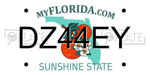 DZ44EY Florida License Plate