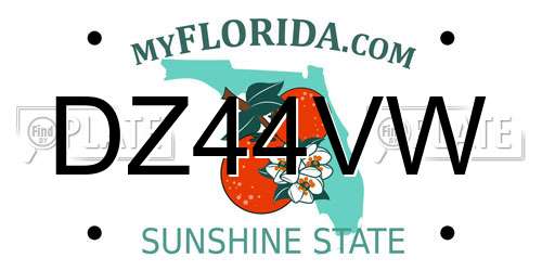 DZ44VW Florida License Plate
