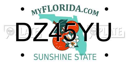 DZ45YU Florida License Plate