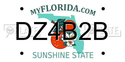 DZ4B2B Florida License Plate