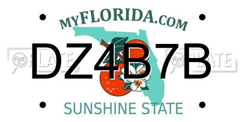 DZ4B7B Florida License Plate