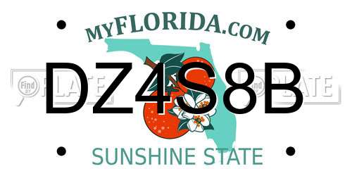 DZ4S8B Florida License Plate