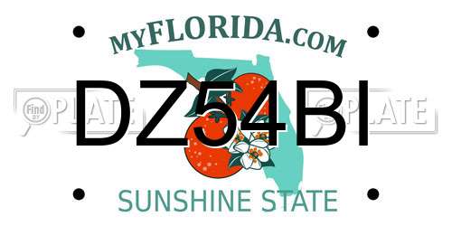 DZ54BI Florida License Plate