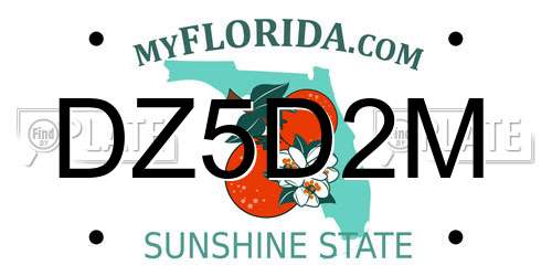DZ5D2M Florida License Plate